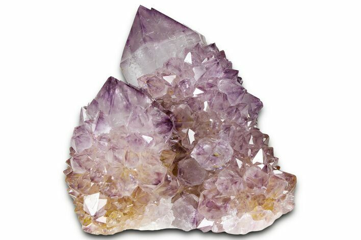 Deep-Purple Cactus Amethyst Crystal Cluster - South Africa #364625